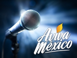 Aviva M&eacute;xico