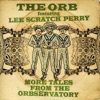 More Tales from the Orbservatory (feat. Lee "Scratch" Perry)