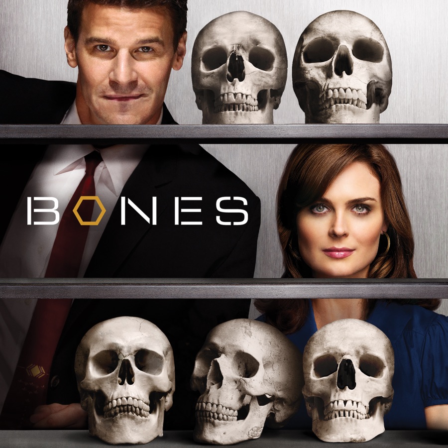 Bones Staffel 4 Online Anschauen Bones, Season 4 wiki, synopsis, reviews - Movies Rankings!