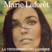 La vendemmia dell'amore artwork