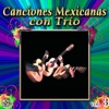Canciones Mexicanas Con Trio, Vol. 3