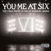 The Swarm (Live from Wembley Arena) artwork