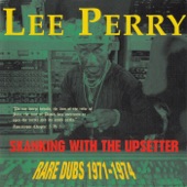 Skanking With the Upsetter (Rare Dubs 1971-1974) artwork