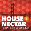 Underground House Nectar, Vol. 1