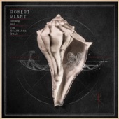 lullaby and... The Ceaseless Roar artwork