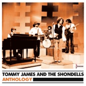 Tommy James & The Shondells - Draggin' the Line
