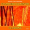 Stradivarius - Giampiero Boneschi lyrics