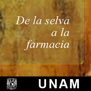 De la selva a la farmacia