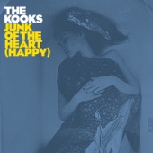 Junk of the Heart (Happy) artwork