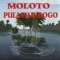 Pulamadibugo - Moloto lyrics