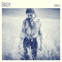 Birdy - Wings artwork