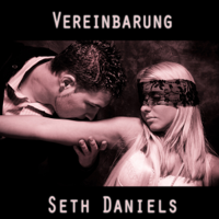 Seth Daniels - Vereinbarung: Eine BDSM Sexsklavin Fantasie (German Edition) (Unabridged) artwork