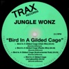 Bird In a Gilded Cage - EP, 2011
