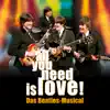 All You Need Is Love - Das Beatles Musical, Vol. 2 album lyrics, reviews, download
