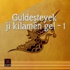 Guldesteyek Ji Kilamen Gel, Vol. 1