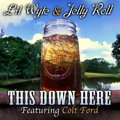 This Down Here (feat. Colt Ford) - Single - Lil' Wyte