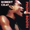 Change of Heart, Change of Mind (S.O.F.T.) - Robert Cray lyrics