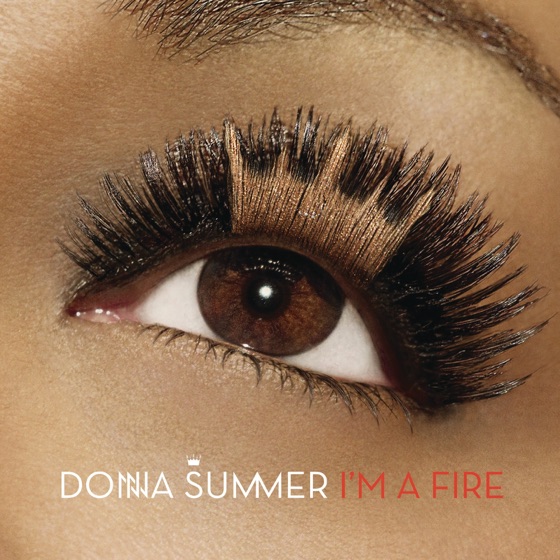 Cover artwork for I'm a Fire