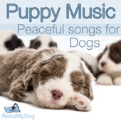 Puppy Music - Peaceful Songs for Dogs artwork