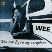 You Can Fly On My Aeroplane artwork