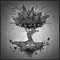 Waves (feat. Lantsberg) - Ganju lyrics
