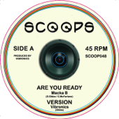 Are You Ready - Vibronics & Macka B