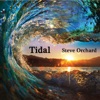 Tidal