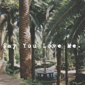 Say You Love Me - Bass Kid