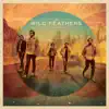 The Wild Feathers album lyrics, reviews, download