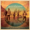 The Wild Feathers, 2013