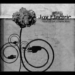 The Art and Craft of Popular Music, 1994-2002 - Joy Electric