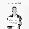 What Do You Mean artwork