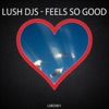 Feels So Good - Single