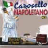 Carosello napoletano, Vol. 6 (The Gold of Naples), 2014