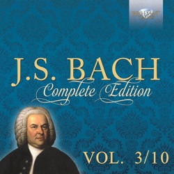 Pieter-Jan Belder - 15 Three-Part Inventions, BWV 787-801: XV. Invention in B Minor, BWV 801