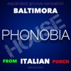 Phonobia (Expanded Groove Sensation from Italian Punch)