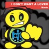 I Don't Want a Lover - Single