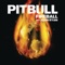 Pitbull Ft. John Ryan - Fireball