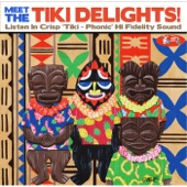 The Tiki Delights - Stormy Outrigger