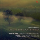 Beethoven, Weber & Donizetti: Trios For Flute, Bassoon & Piano artwork