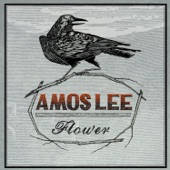 Amos Lee - Flower