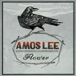Flower - Single - Amos Lee Flower - Single - Amos Lee