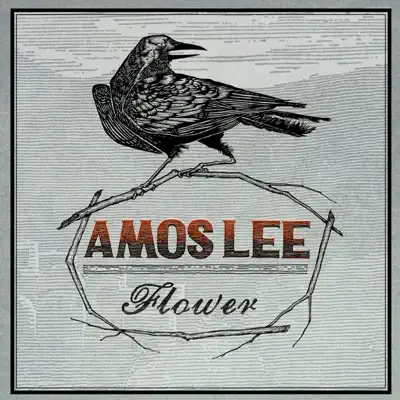 Flower - Single - Amos Lee Flower - Single - Amos Lee