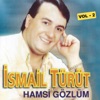 Hamsi Gözlüm, Vol. 2