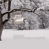 Precious Sound