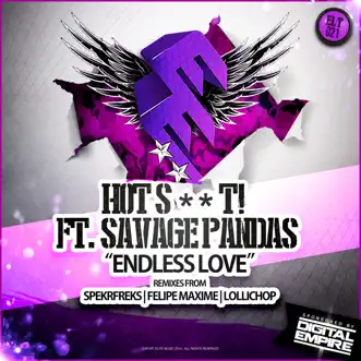 Endless Love (SpekrFreks Remix) [feat. Savage Pandas] by Hot Shit! song reviws