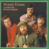 Wolfe Tones - The Fighting 69th