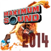 Maximum Sound 2014 artwork