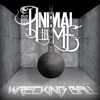 Wrecking Ball - Single