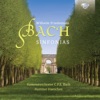 Kammerorchester Carl Philipp Emanuel Bach & Hartmut Haenchen - Suite in G Minor, BWV 1070: IV. Menuetto alternativo - Trio